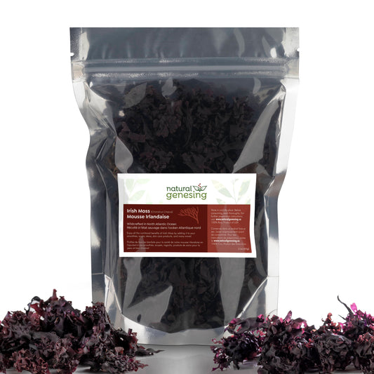 Wildcrafted Irish Moss: Natural Nutrient-Rich Health Support