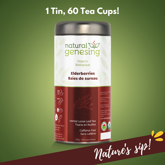 Organic Elderberry Tea: Rich in Antioxidants & Immune Support